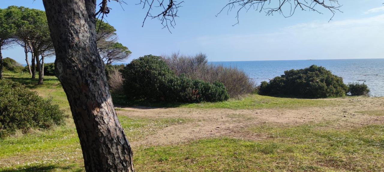 Dolce Casa Baia Sant'Anna - بودوني المظهر الخارجي الصورة